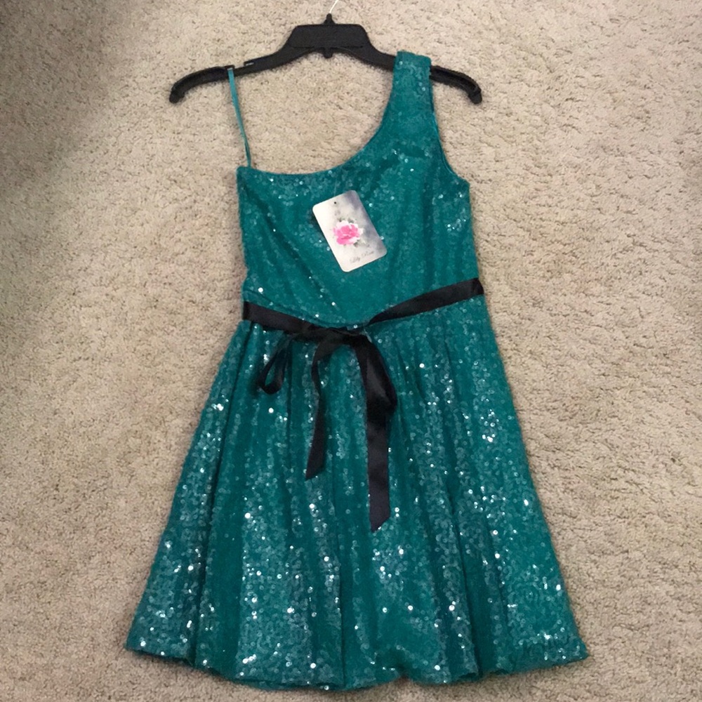 Brand New Lily Rose dress
